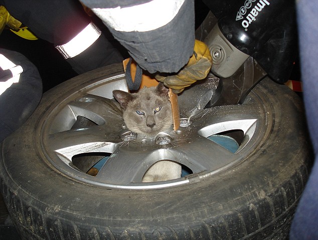 Because dude Varrstoen uses CAT technology to cast wheels