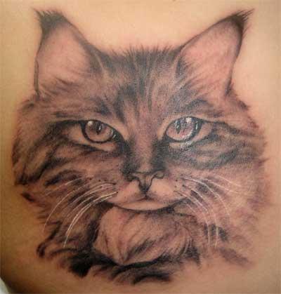 Haida Tattoo Symbol of a Codfish Cat Tattoo Designs – Independence, 